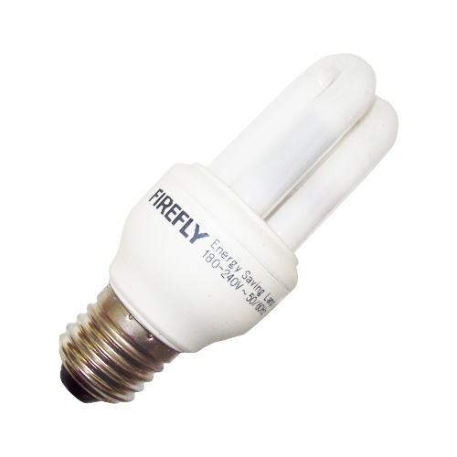 Compact Fluorescent Lamps