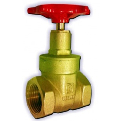 Gate and Globe Valves