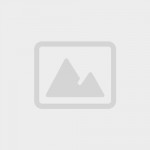 ANCHOR SHACKLE  1-1/4" (32MM)